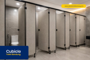 cubicle toilet